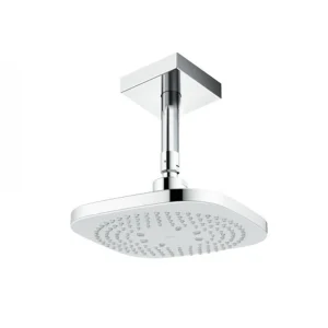 Bát Sen TOTO TBW02003B1A Gắn Trần