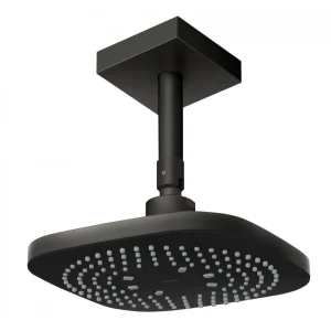 Bát Sen TOTO TBW02003B1B#MBL Gắn Trần Màu Đen Mờ