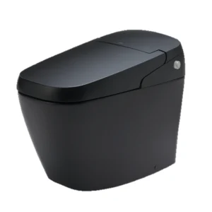 Bồn Cầu Thông Minh INAX AC-G216VN/BKG (ACG216VN) Satis Màu Đen