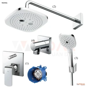 Sen Tắm TOTO TBG02304BA/TBW02004A/TBW02006V Âm Tường
