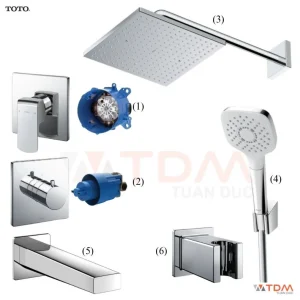 Sen Tắm TOTO TBG02303BA TBV02104B TBW08002A TBW02005A TBG10001B TBW08010A Âm Tường 3 Đường Nước