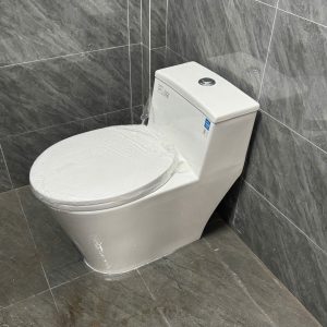 So sánh thiết kế và công nghệ bồn cầu American Standard và INAX
